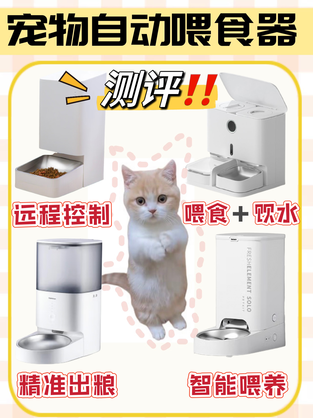 铲屎官干货👉｜4款热门宠物自动喂食器测评🔍