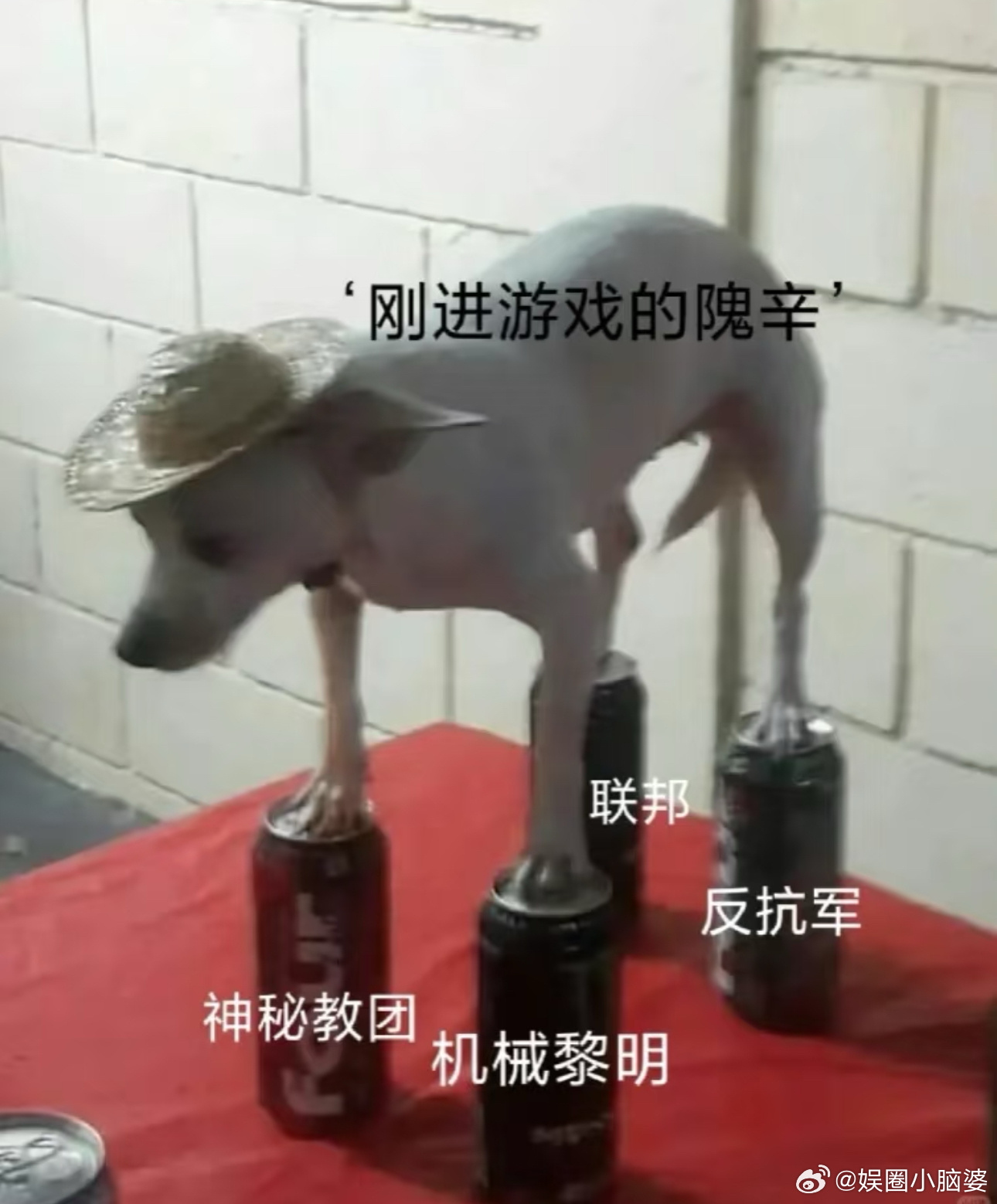 这才是真正的爽文大女主不得不赞《穿进赛博游戏后干掉boss成功上位》的隗辛，别人
