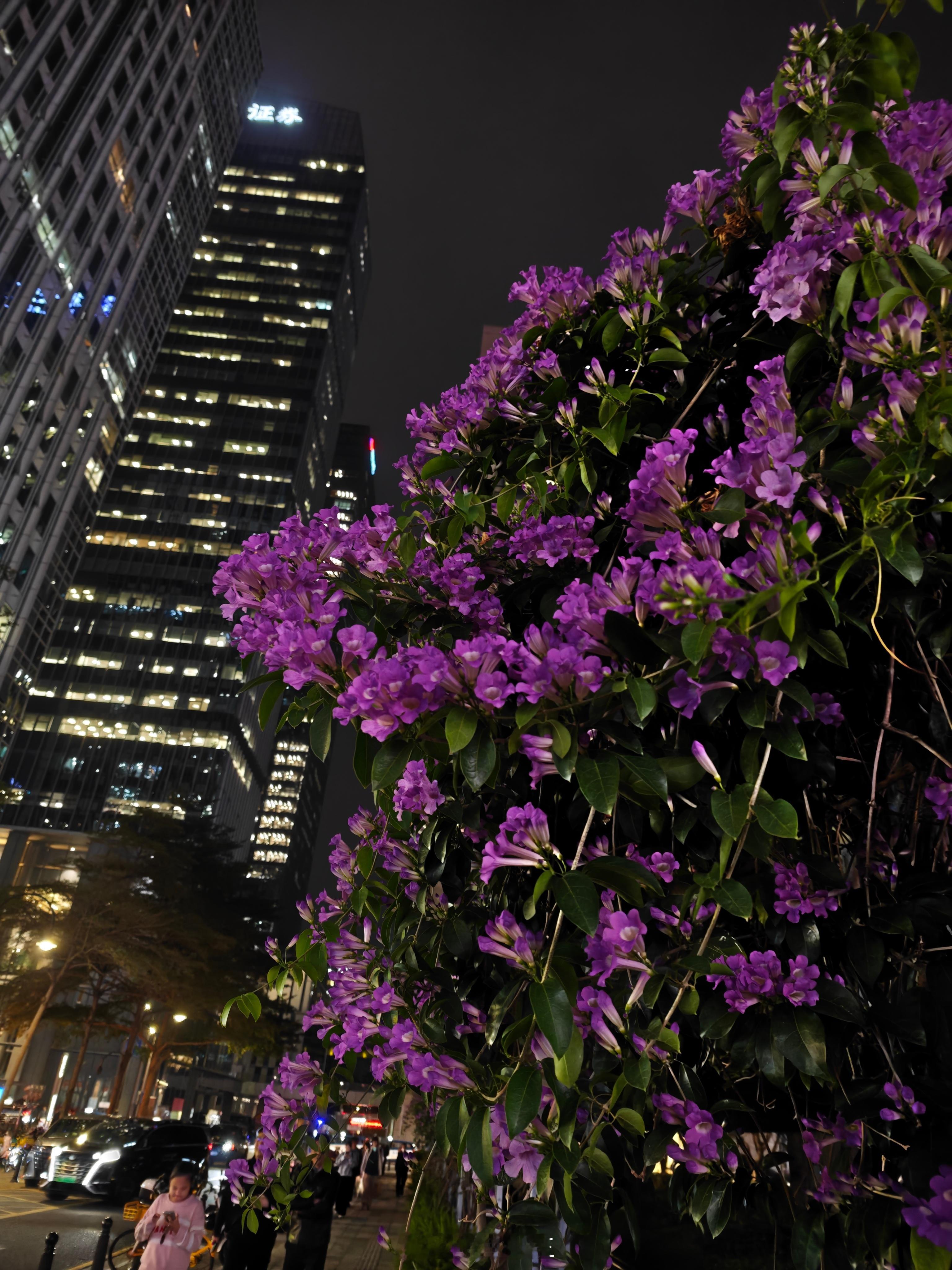 2026年开始，95后开始迈入30岁