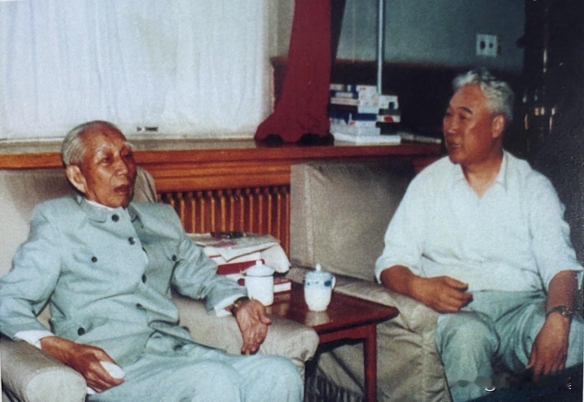 1991年7月6日，国家原副主席王震在家里亲切会见杨贵。此时距中央正式恢复杨贵副