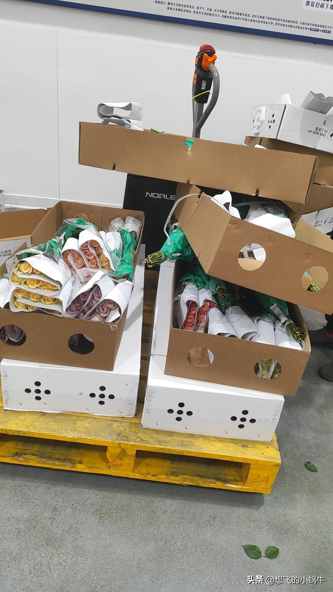 小哥帮我找花，真是好人呐[偷笑][偷笑][偷笑]
​找到一把满意的了[捂脸][捂