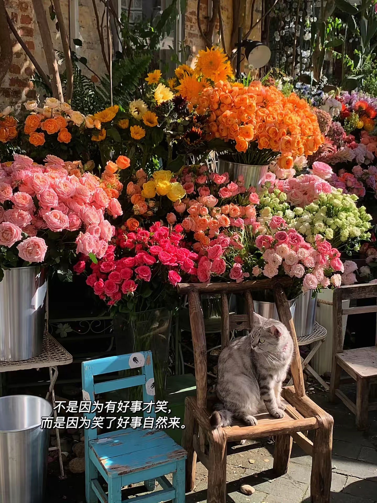 日常 理解别人远比审判别人更为快乐。世间各人境遇各不相同，不必站在自己的角度随意