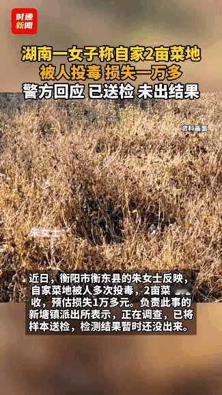 “坏了农村人的名声！”湖南衡阳，一女子去自家菜地摘菜时，发现有块地里作物叶子全部