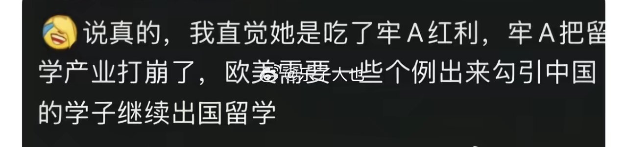成功刻画了牢A的粉丝形象