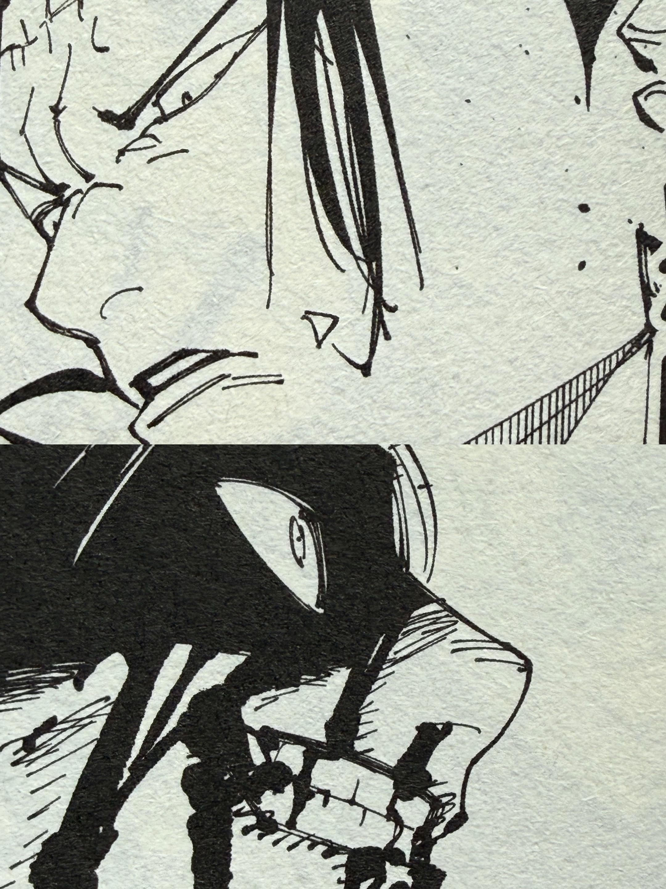 形体概括与表情刻画。独眼猫