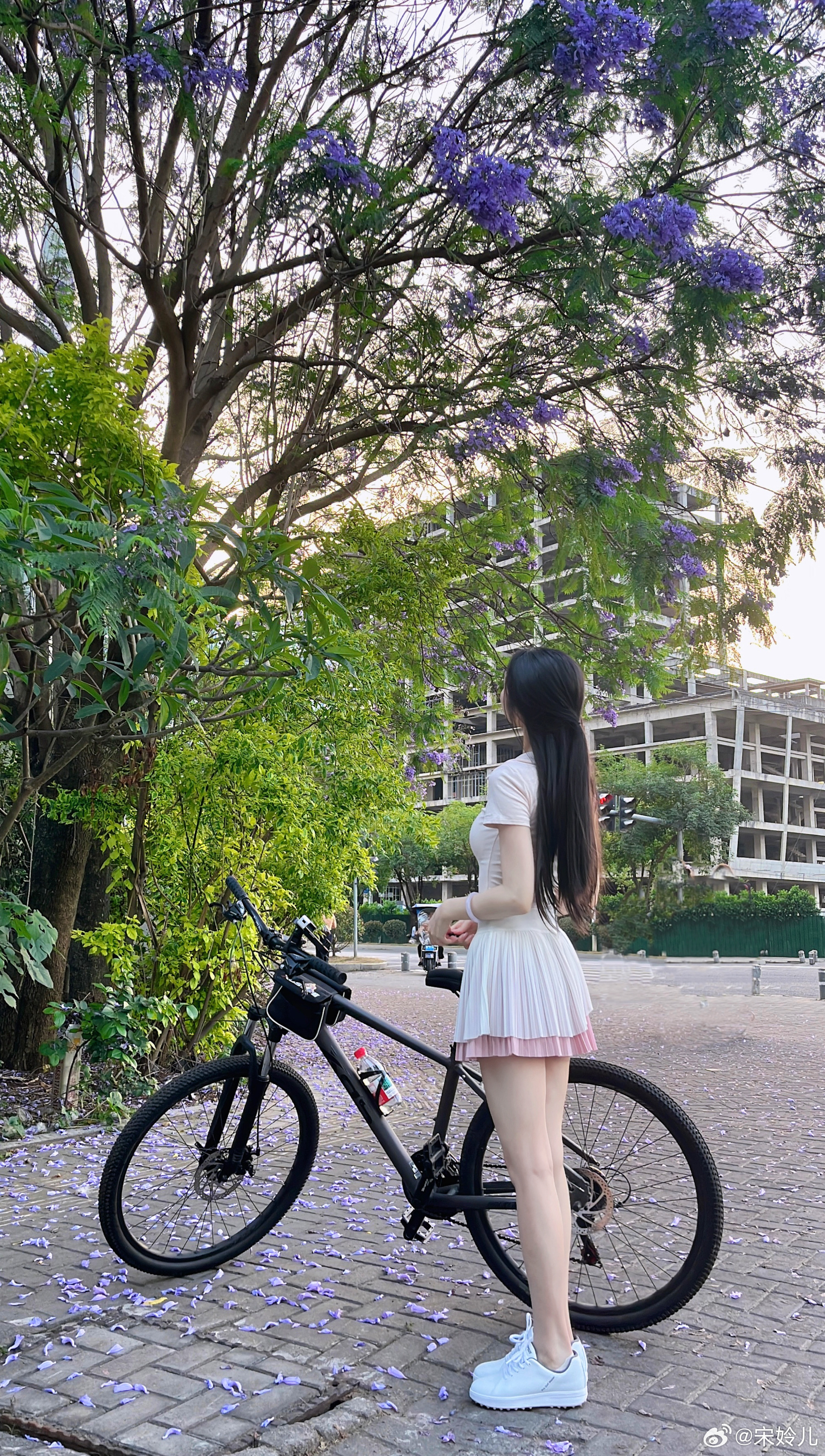 喜欢阳光树木，喜欢一切让我明媚的人事物。 ​​​