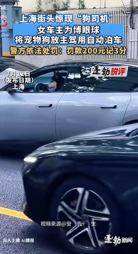 “真的活该！”7月12日报道，上海，一38岁女子为了博眼球，把车开到路边后就下了