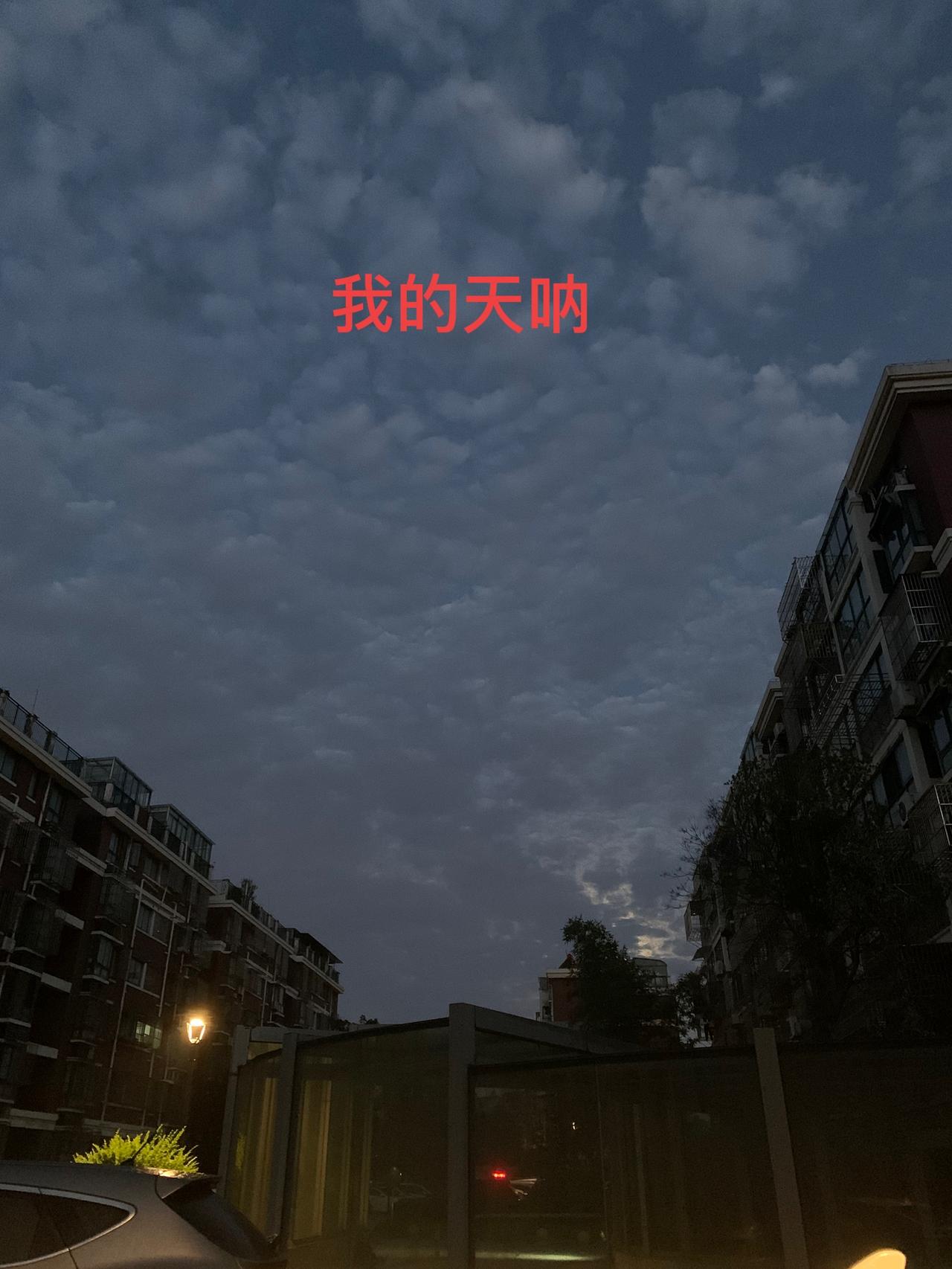 我的天呐，
今天一早醒来，打开头条，
就被湖南某医院最受关注“院长”给刷屏了……