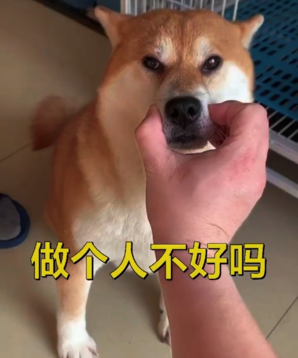 女子花2万查丈夫出轨揪出辅警内鬼 没有保护伞，就没有社会人；没有内鬼，信息就不可