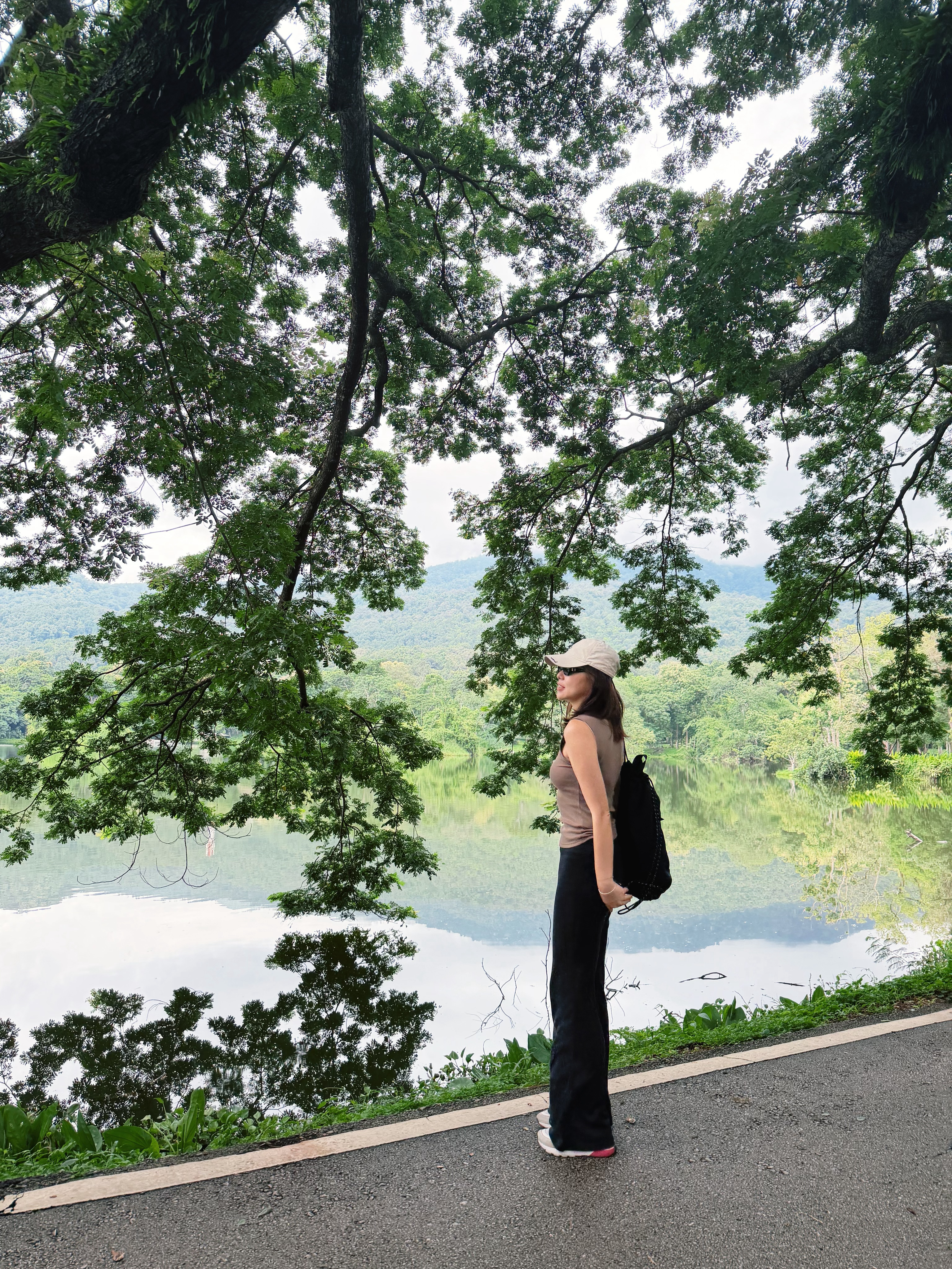 二刷清迈大学依旧是令人平静的磁场🌳鲁豫老师在《岩中花述》里说“人不需要每天都幸