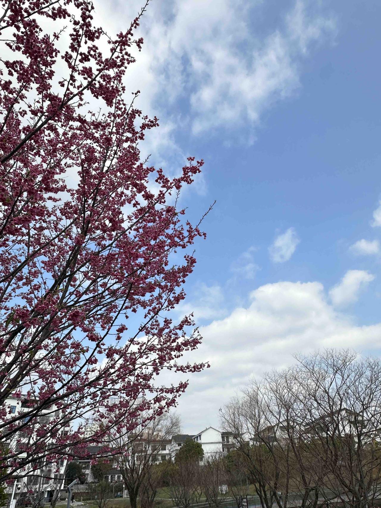 一位女性滴滴司机师傅的故事：她对照顾生活不能自理老人出门的艰辛感同身受。

周一