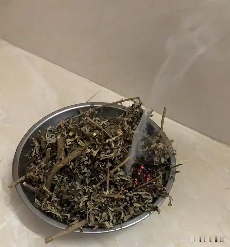 端午挂艾，夏日序章

端午挂艾蒿，预告炎夏将至。艾草辛香，驱蚊避虫，更藏着一重妙