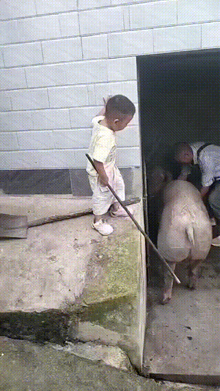 小孩来帮忙