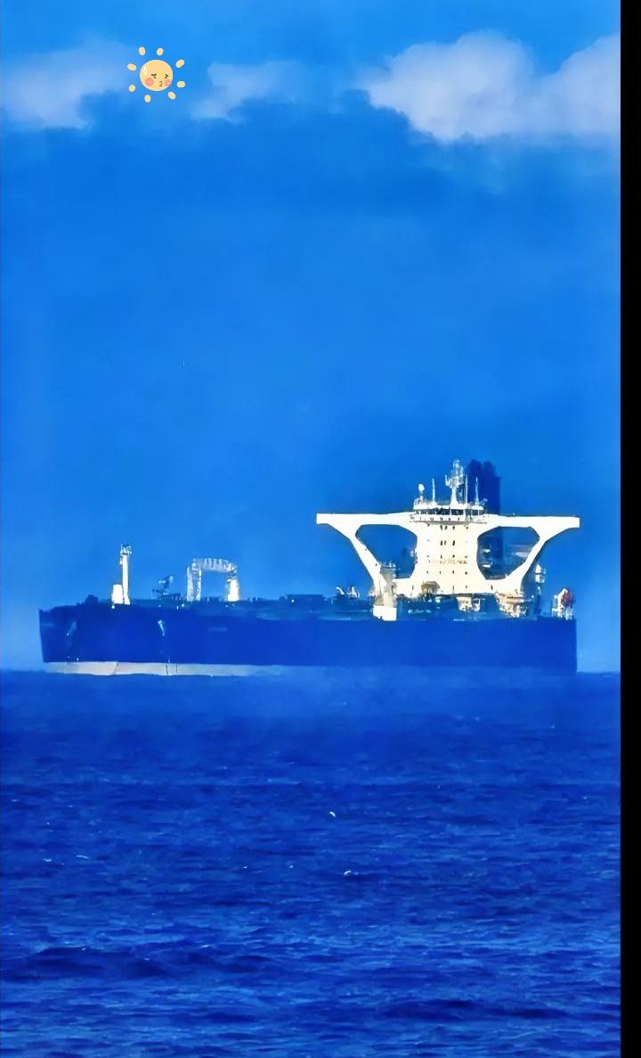 看到这张巨轮的图真的被震撼到了，这么大的船在海上看着就跟座移动的堡垒似的，蓝白配