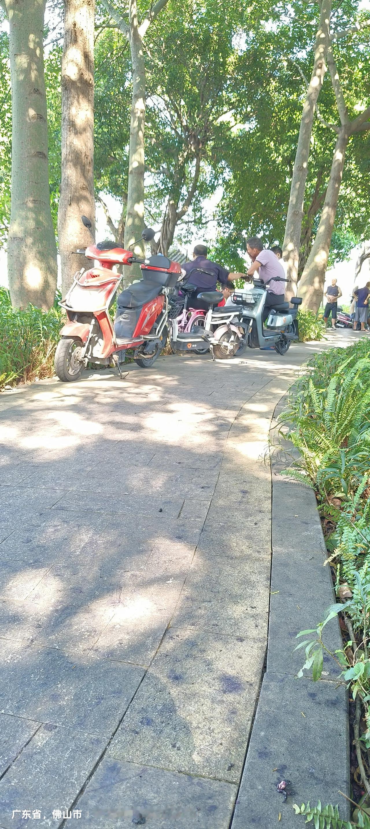 第一次听到中央会议把农民工就业提上了议程，这真是一个不小的进步和惊喜。
昨天的央