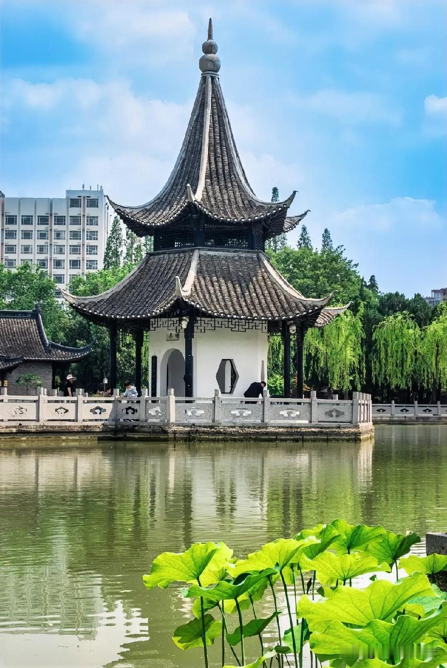 行至荷塘边，清风穿塘而来，荷叶翻卷，荷影摇曳，一池娉婷芙蕖在暖阳里自在舒展。
