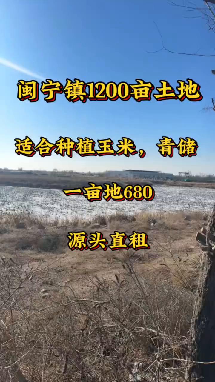 闽宁镇1200亩土地适合种植玉米、青储，一亩地680，源头直租。
每个人都要经过