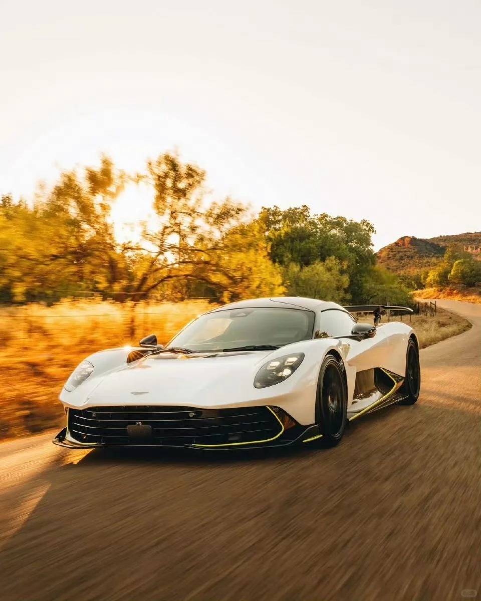 麦田里的阿斯顿·马丁Valhalla，早上好