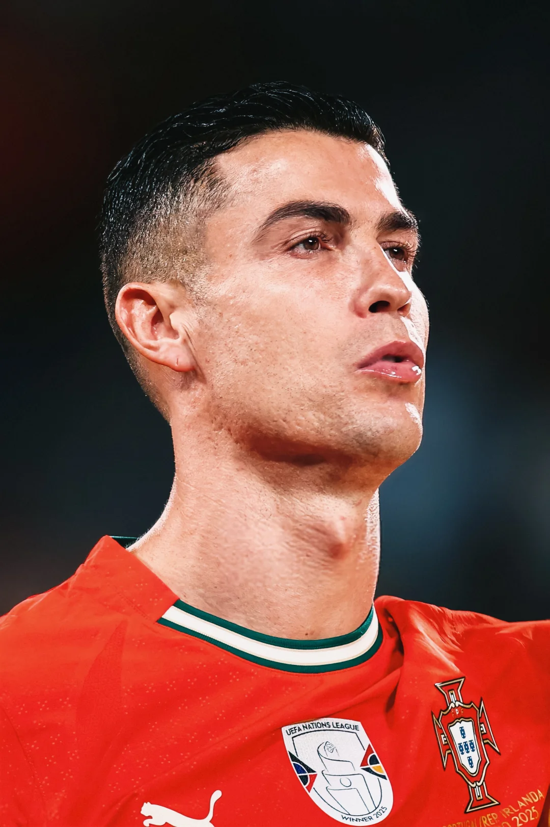 C罗对爱尔兰比赛精彩图集