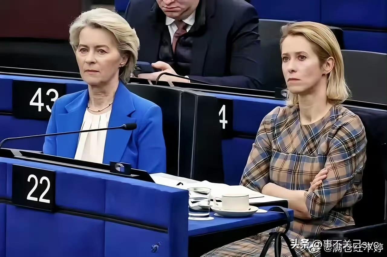 面对西班牙女议员伊雷妮·蒙特罗当场指名道姓的激烈反击、批评与谴责，欧盟两个女掌门