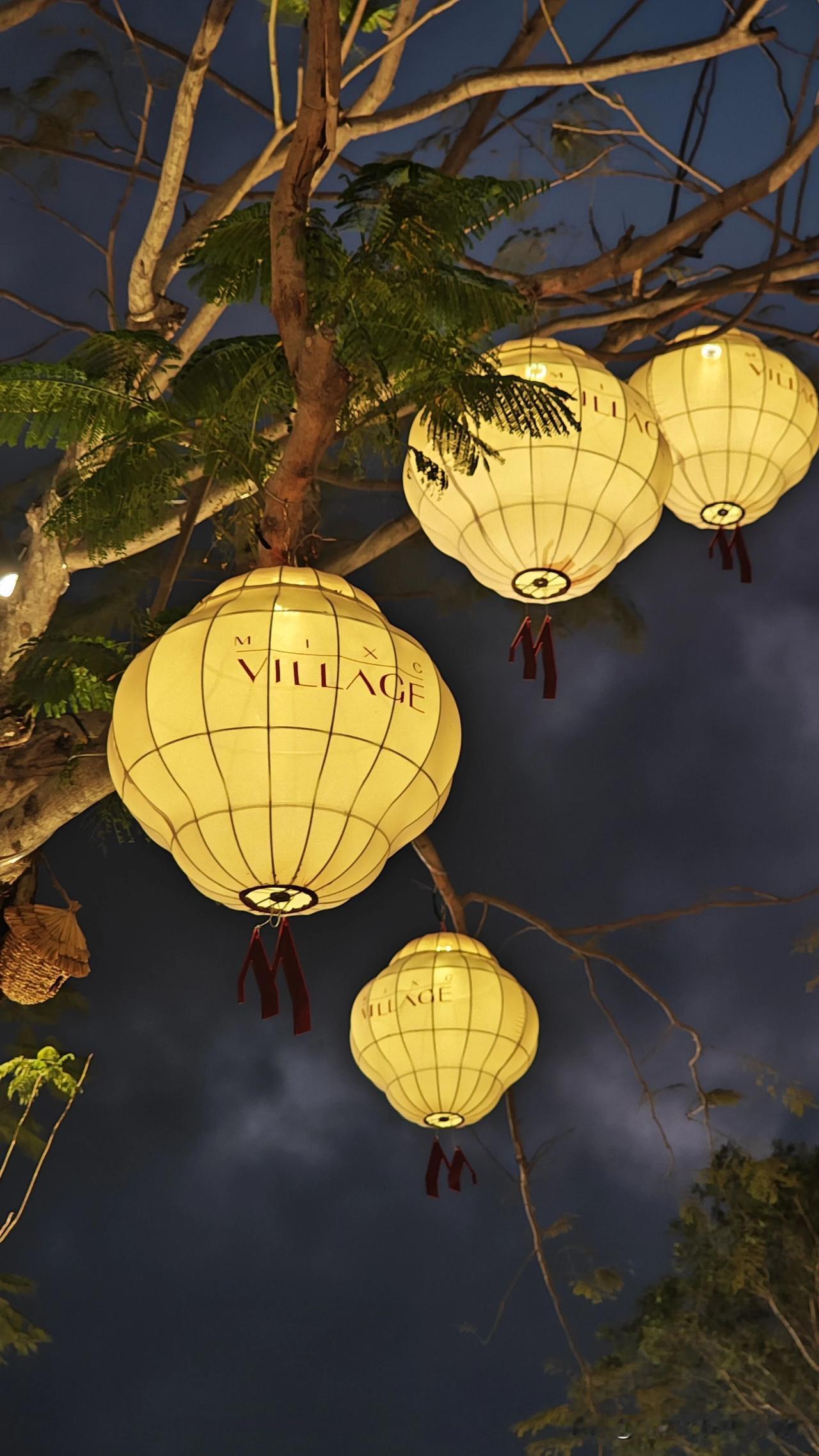 虽然人口基数多，但是由于盈利模式的不同，创作者获得的回报也存在差距，每天更新文章