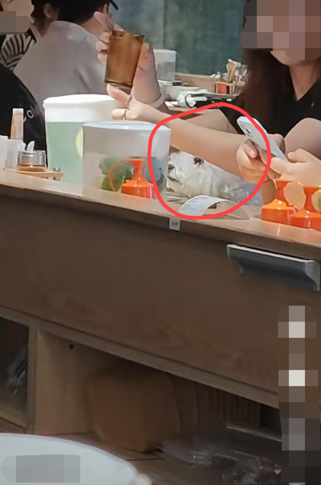8月12日，浙江杭州 。知名连锁品牌“✘✘✘”（杭州中心店），食客拍到有女顾客带