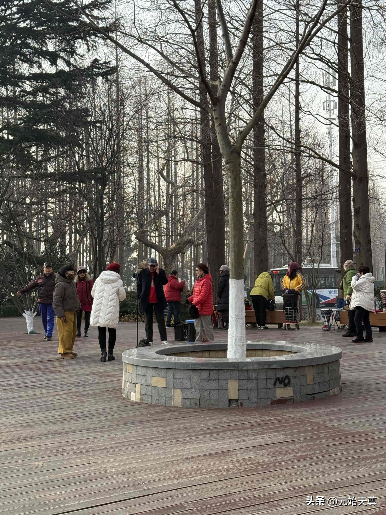 记录我的2026我昨天上午去青岛中山公园打卡了，昨天天气睛朗气温10度是非常难得