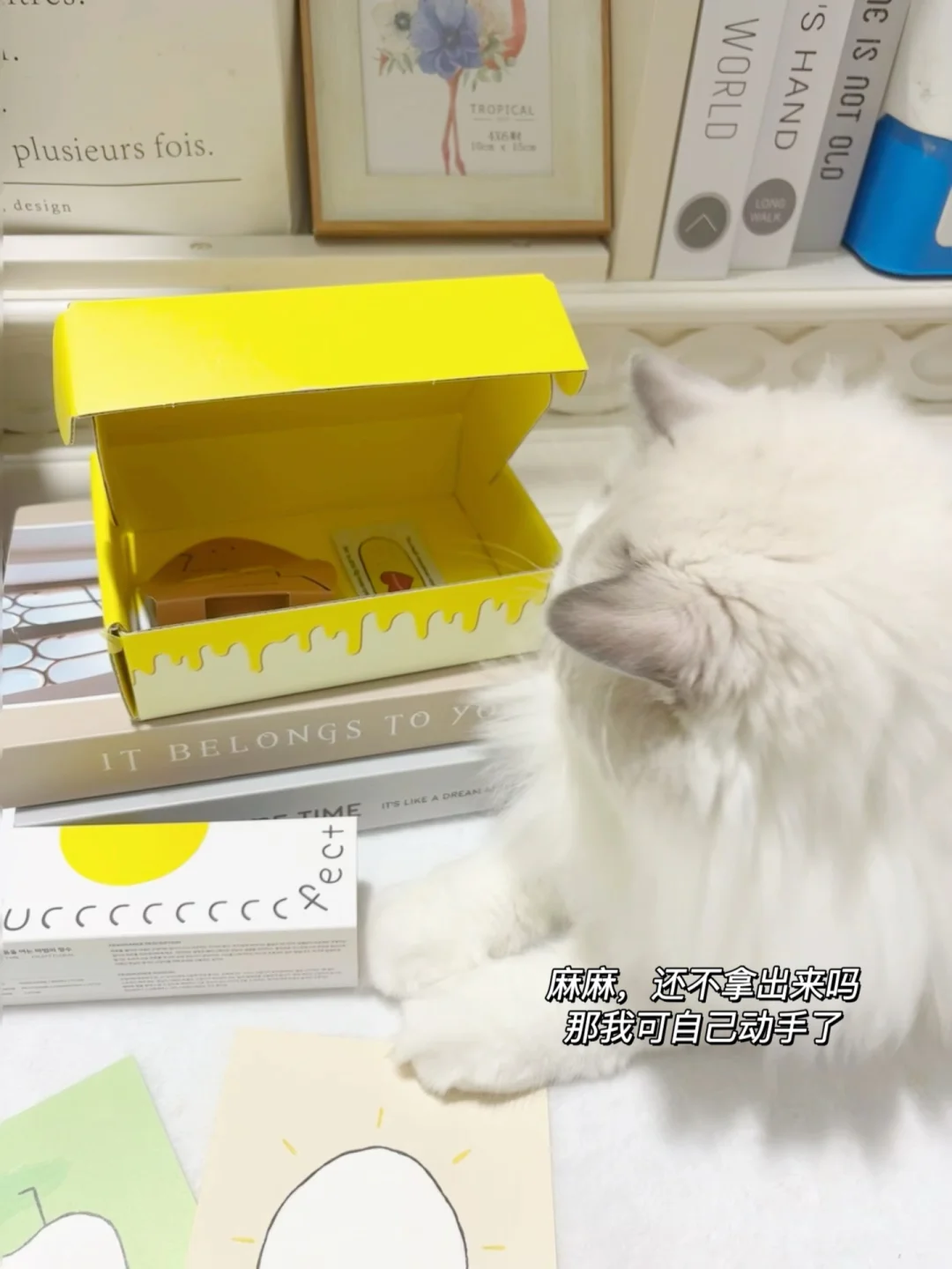 让独行猫秒变👉贴贴猫👈的魔法香水