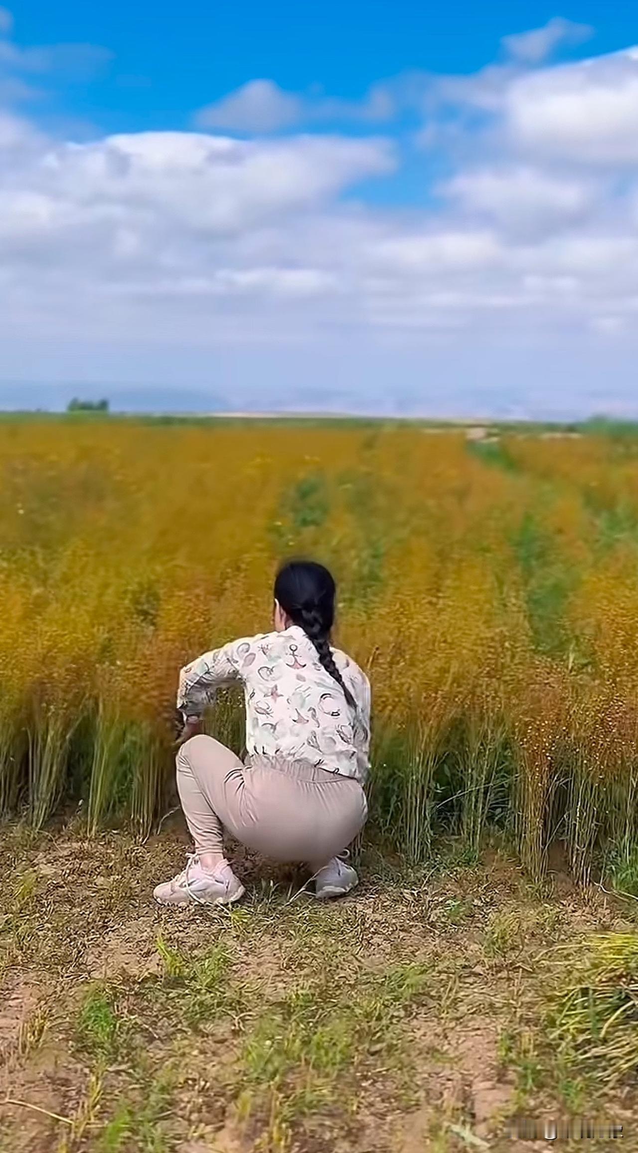 收获的季节
