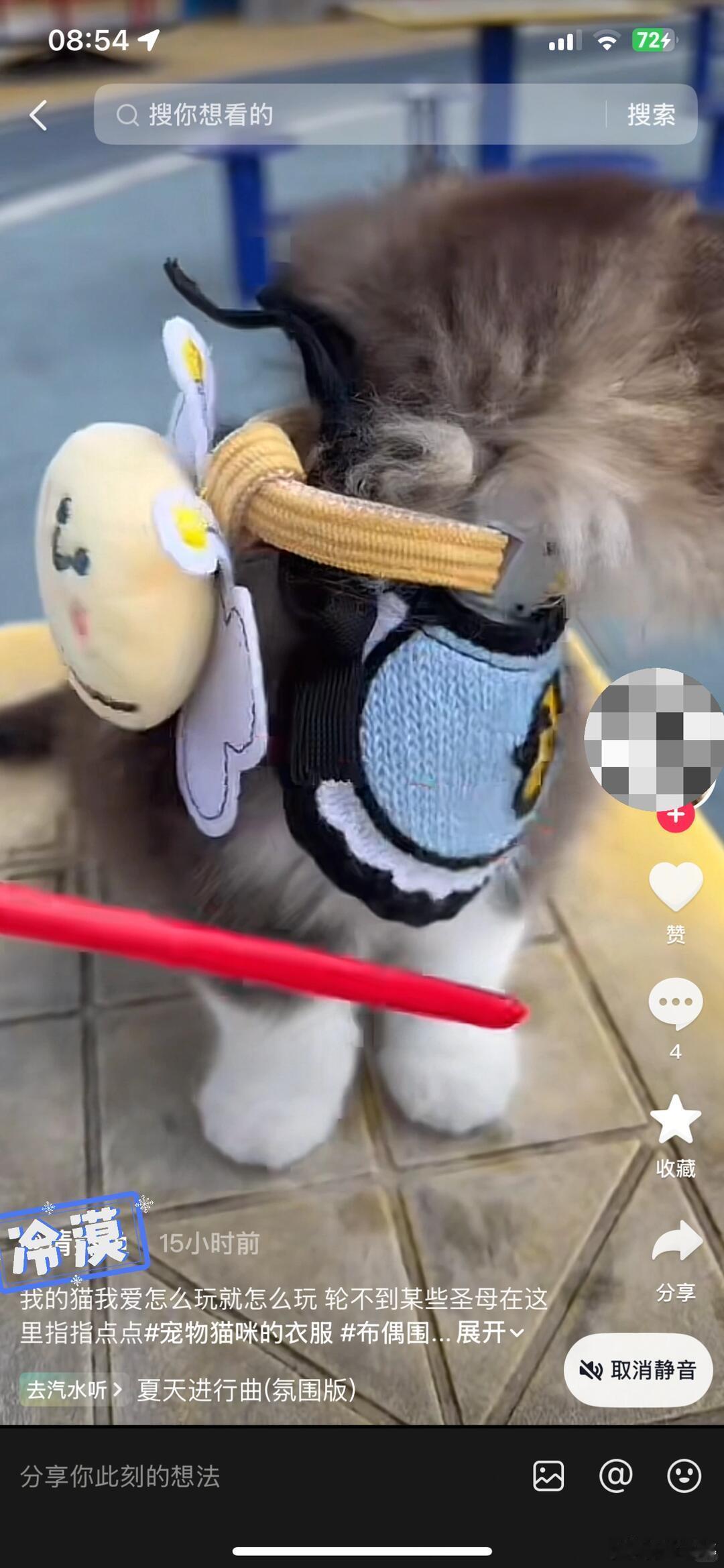 -光看描述和评论区都觉得好难受明明是这么可爱的小猫… 