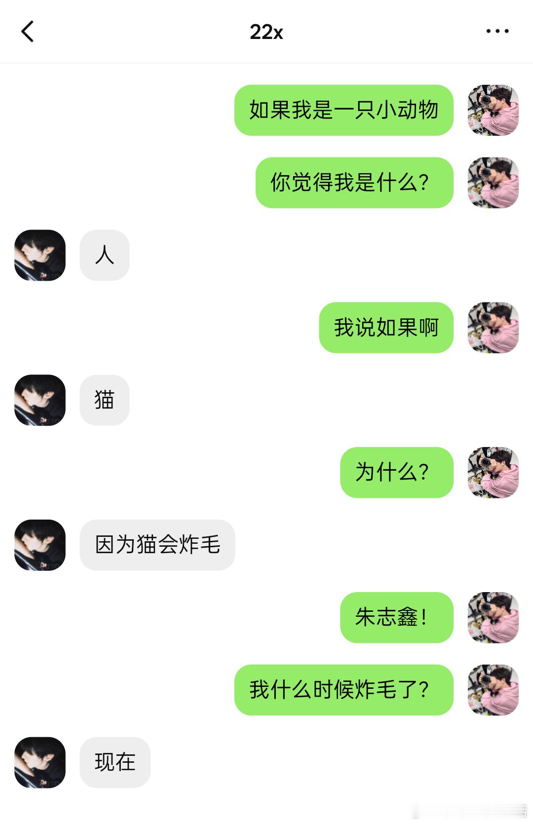 4420【棍铲】一只炸毛猫 