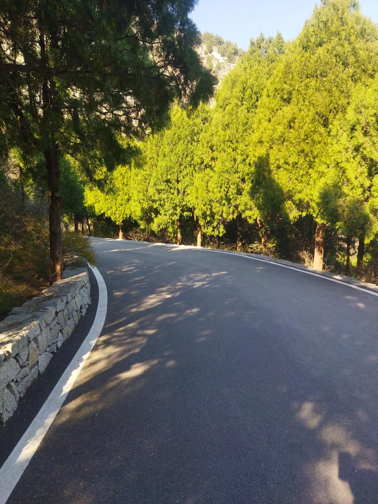 这是佛慧山，林间的小路，很是安静。