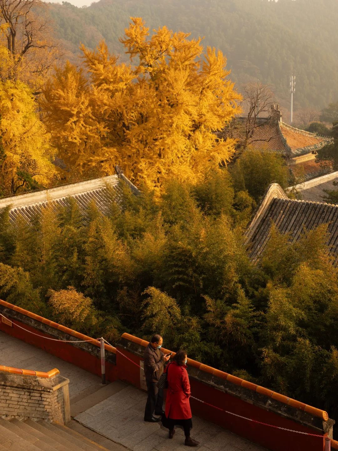 人生建议,一定要秋天来一次北京‼️