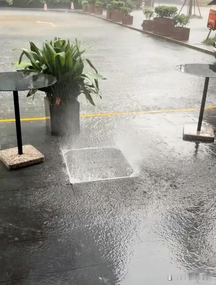 今天上海的雨☔[捂脸]