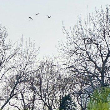 人生就是一次旅行，其实，目的地在哪里并不重要，重要的是沿途的风景和看风景的心情！