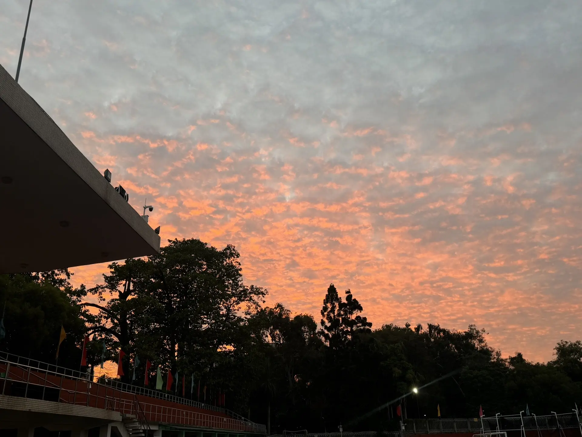 好像什么都干了，又好像什么都没干