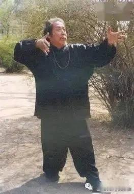 抱式有得再练撑，只练一式功不成，最终诸式混合练，撑抱托按一势成。周身刀枪道道翻，