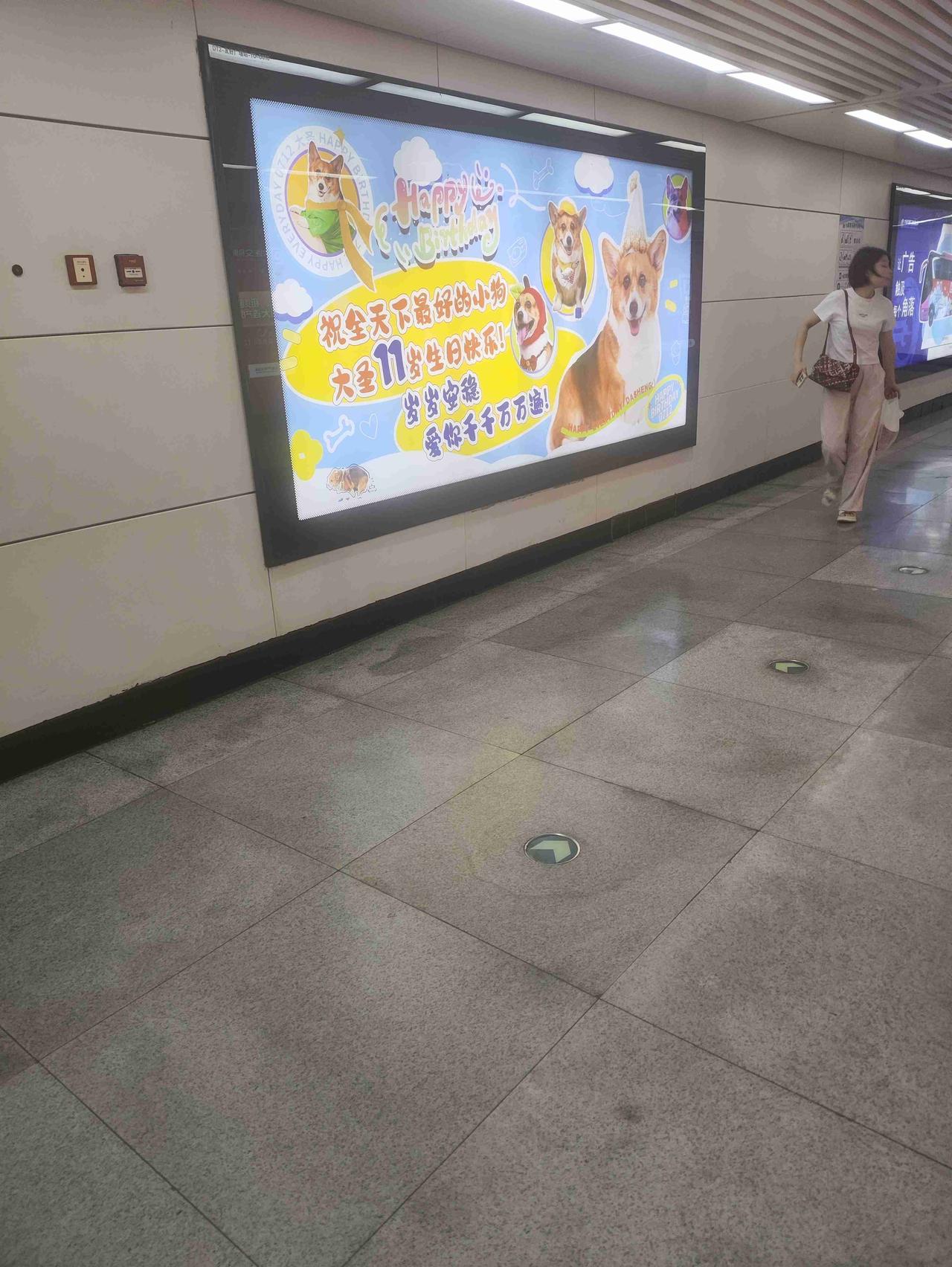我的今日状态：🥲强颜欢笑
我这里的天气：🌤️多云
    大连地铁“汪”气十