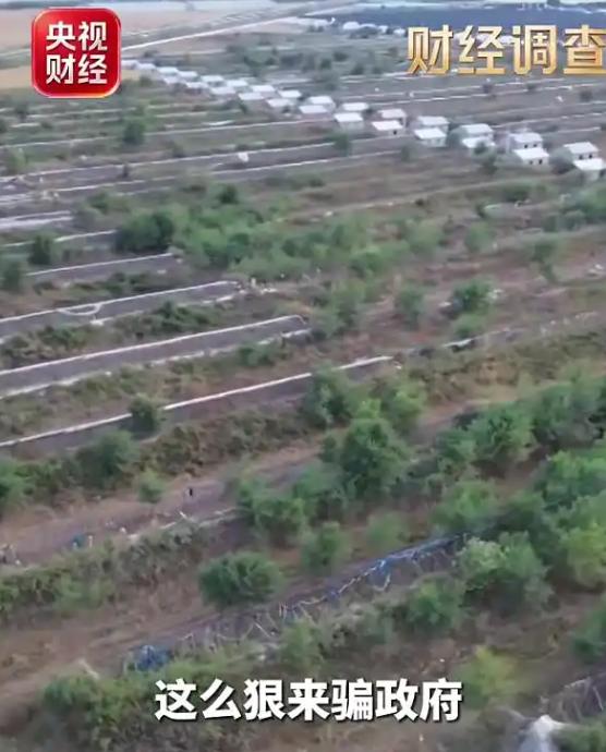 注册9天就吃下1.2亿项目：当观众是傻子？换个角度看这桩骗局：项目真正交付的不是