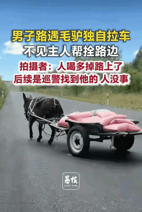 离谱又暖心~内蒙古兴安盟203国道，苗先生发现一辆无人驾驶驴车一路向前，把驴车拴