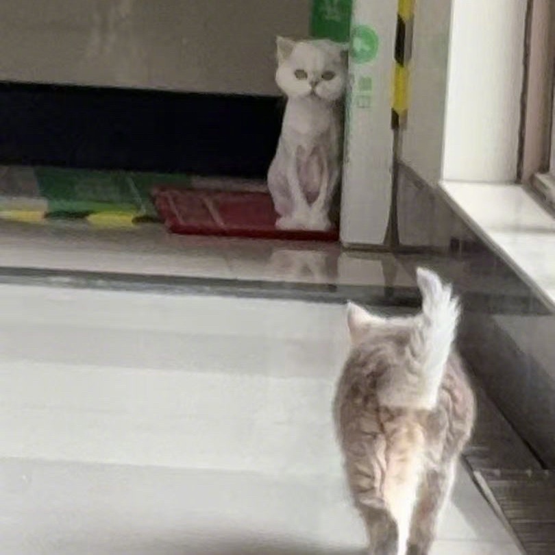 妈妈：给你看👀鹿儿：一看一个不知声哈哈哈哈哈哈哈