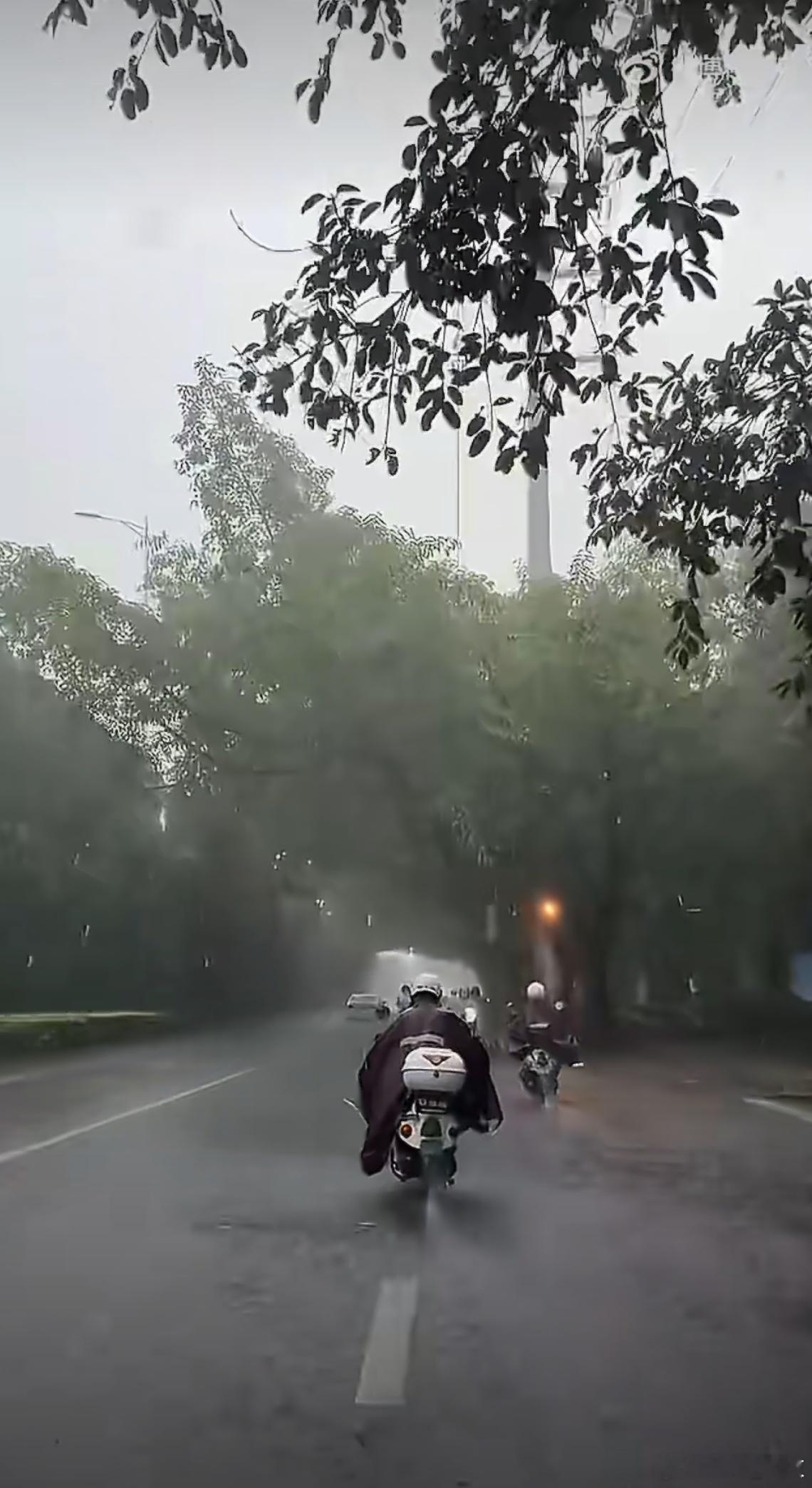 买车的欲望已经到了极致雨天开车出门确实不错，但遇到暴雨天气视线也受影响，尽量还是