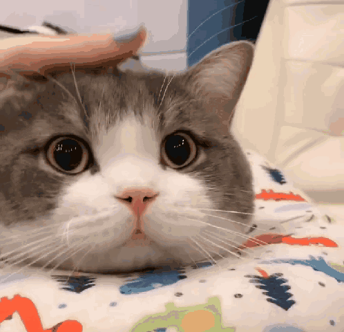 明儿该上班了。早点睡吧