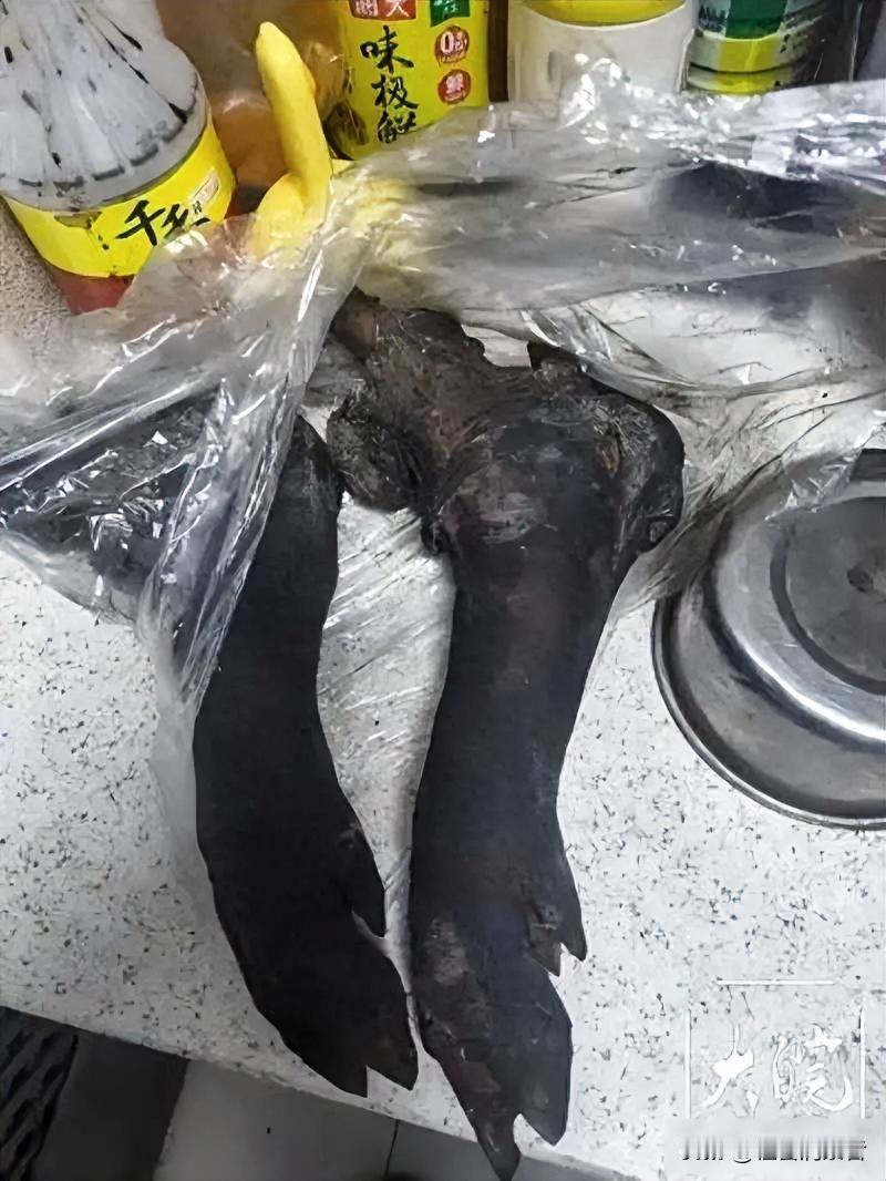 十岁男童饭桌离奇殒命 猪蹄皮化致命导火索 家属追问急救黄金四分钟

2月15日早