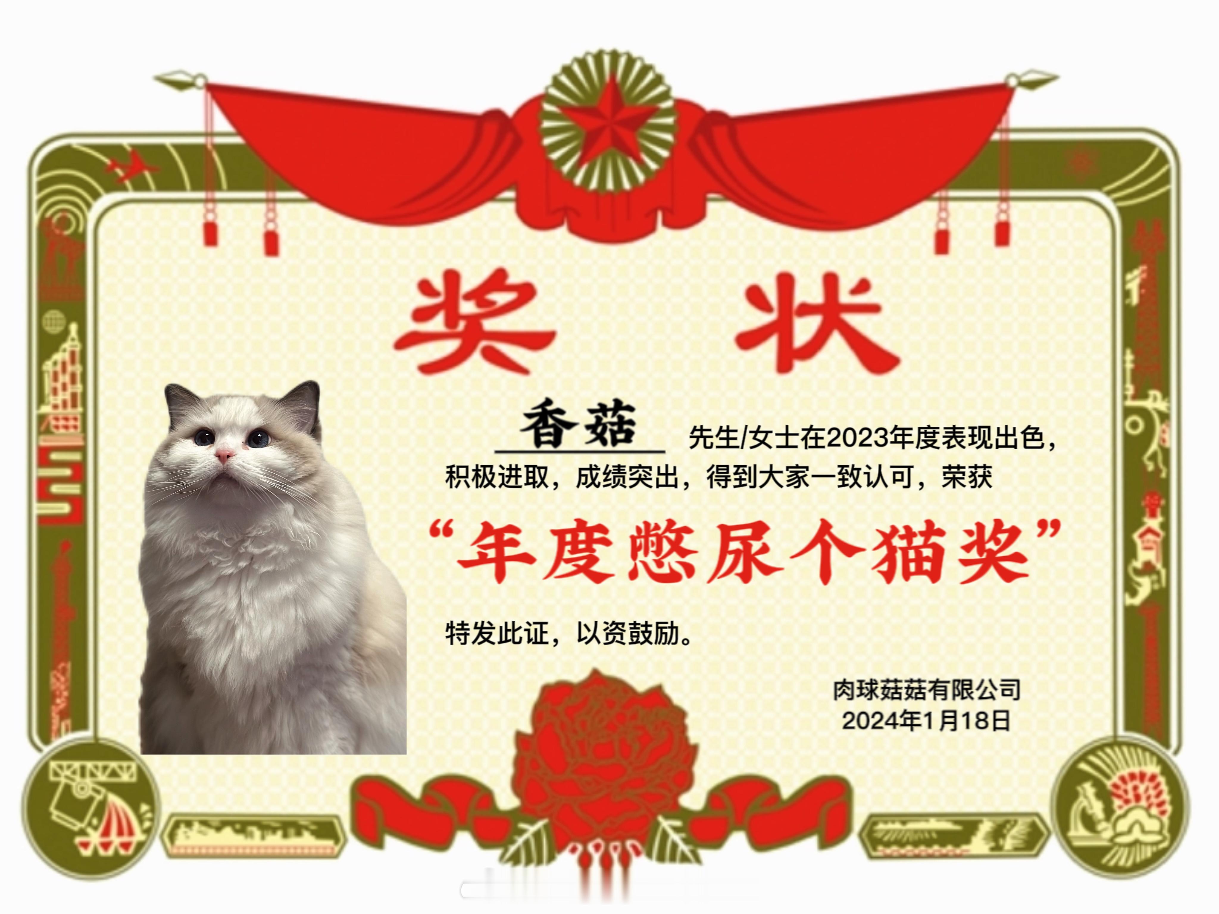 年终了，给小猫咪颁个奖，也辛苦一年了[doge]#我家有宠初成长##萌宠初冬日记