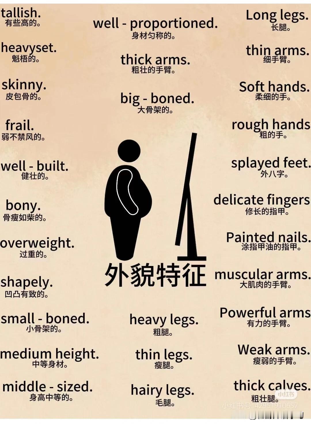 跟“外貌特征”有关的英语词汇