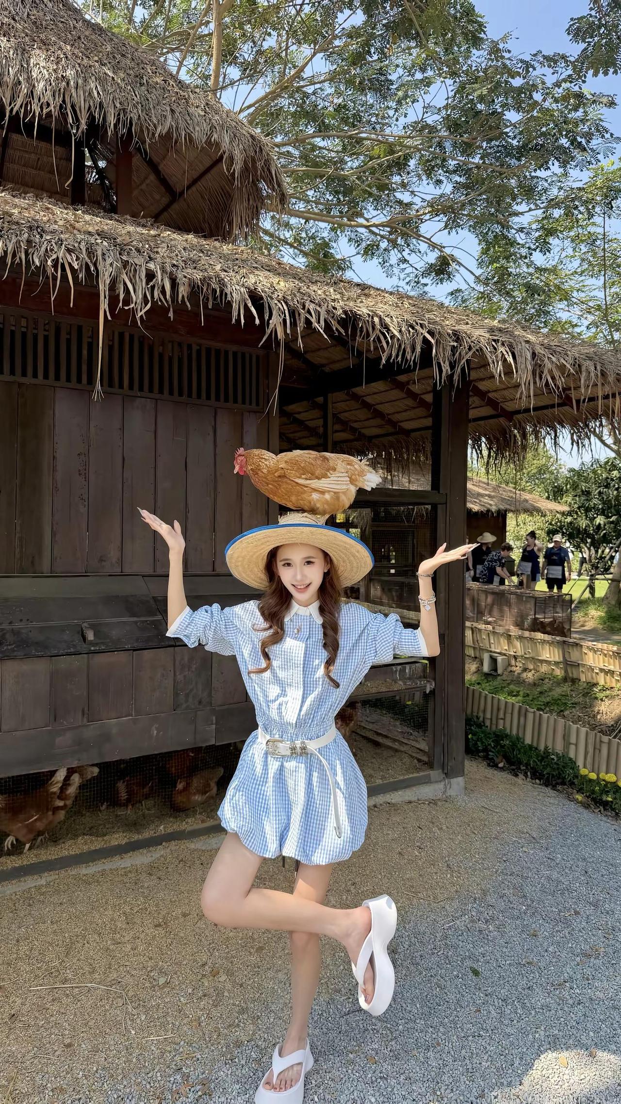 食食物者为俊杰 ๑ᵔ⤙ᵔ๑ ⸝⸝