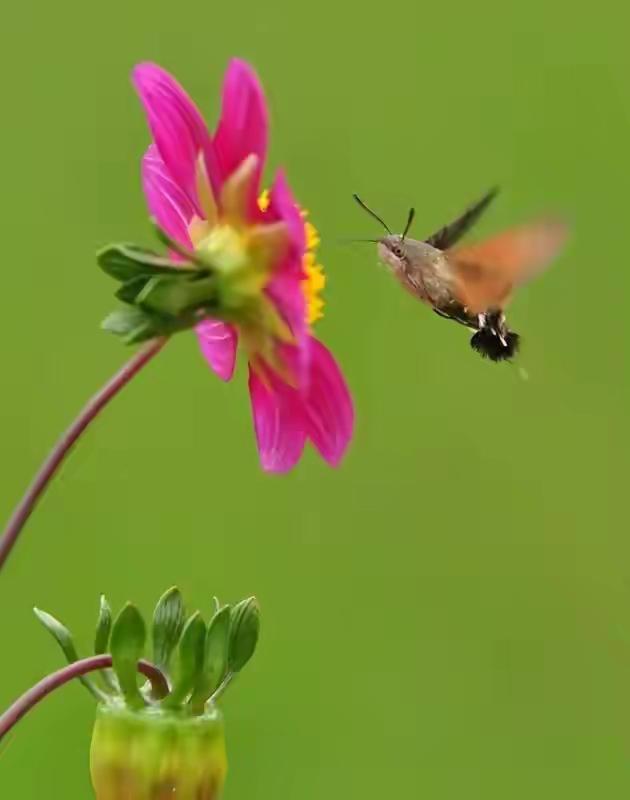 人生意义不必远求，就在这三件小事里闪光✨

最近和一位90岁的老教授聊天，我问她