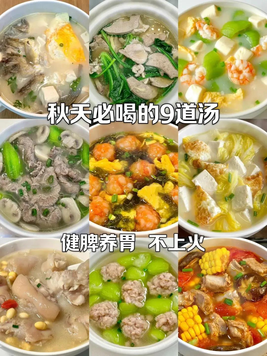 秋季养生必喝！9款美味营养汤，健脾养胃，温补不上火！
秋天是收获的季节，也是调养