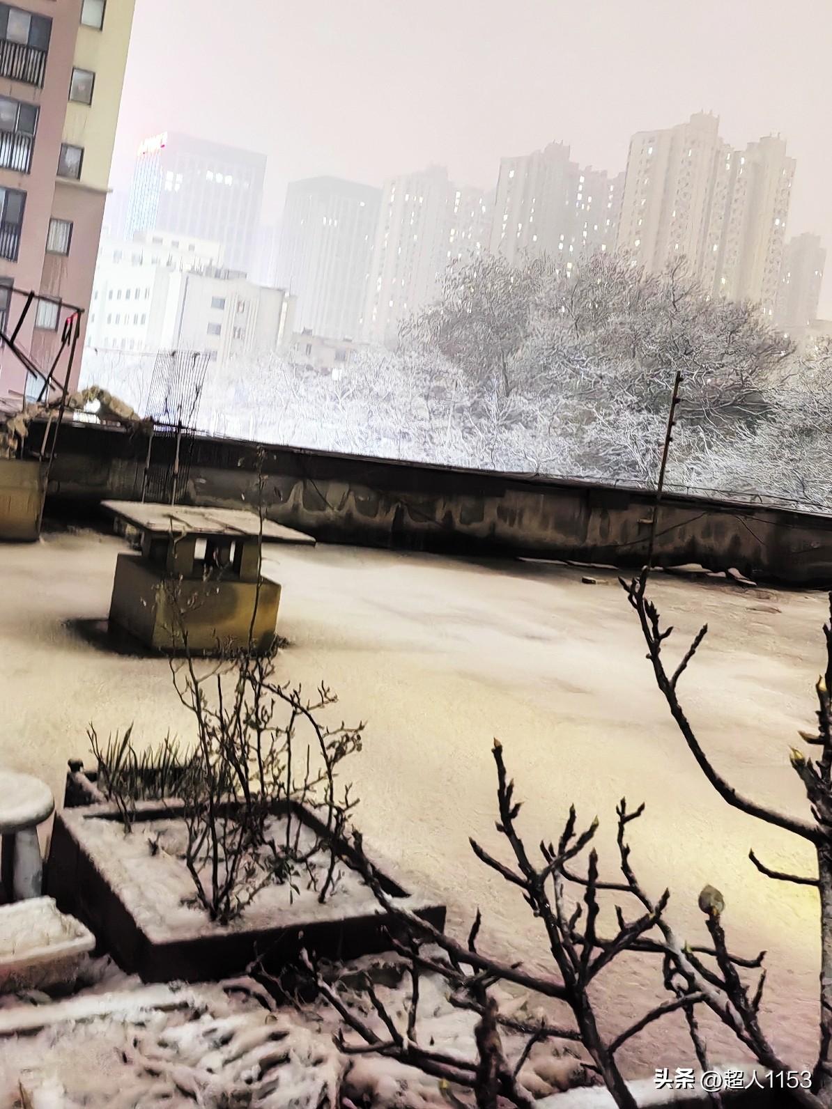 下雪了下雪了！
石家庄今天下雪了，
这可是今年的第一场雪呀，瑞雪兆丰年。

雪从